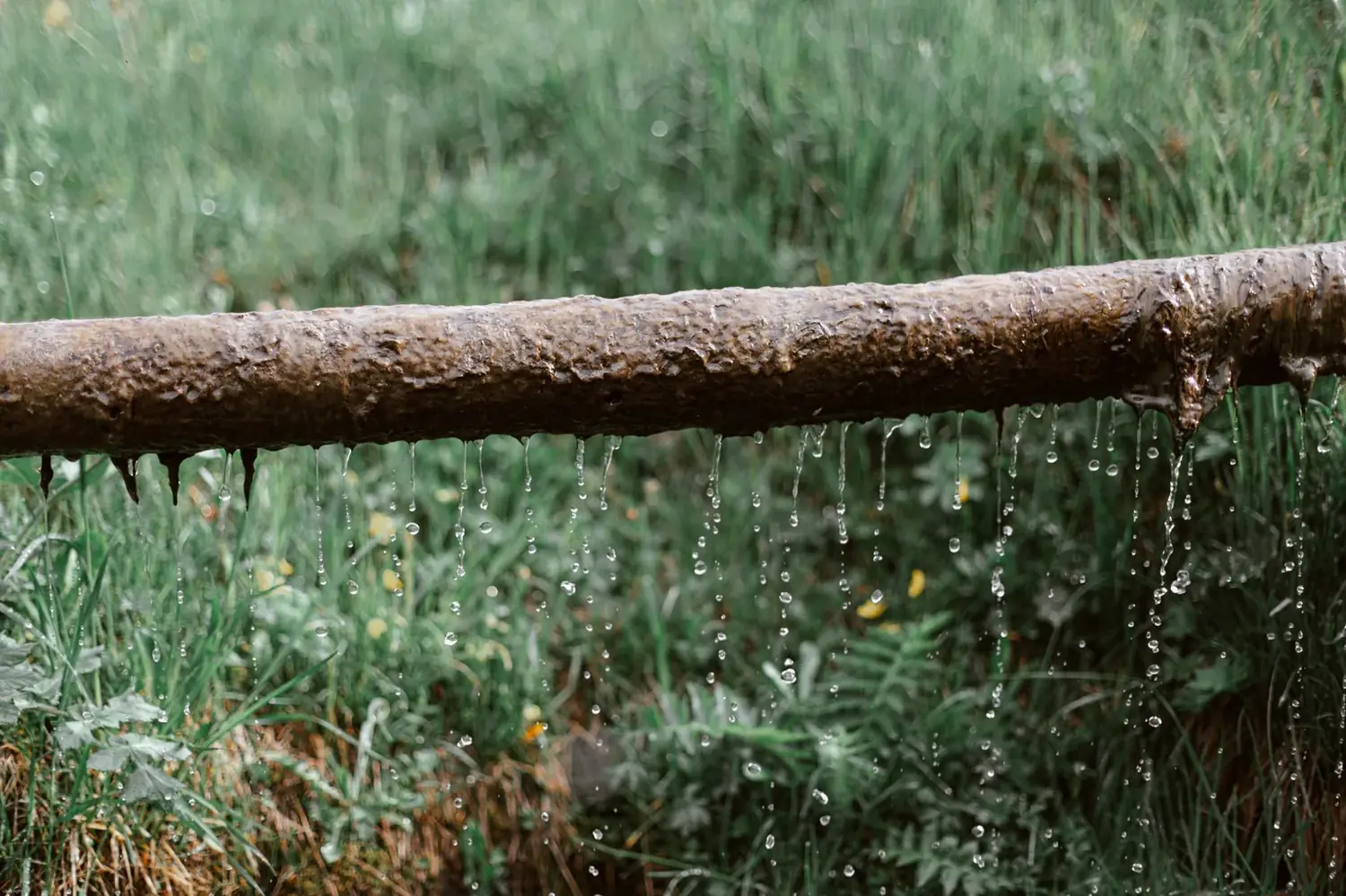 Water dripping from a leaking pipe